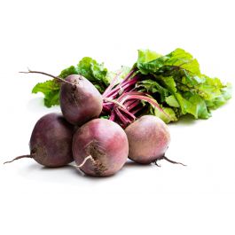 Barbabietole