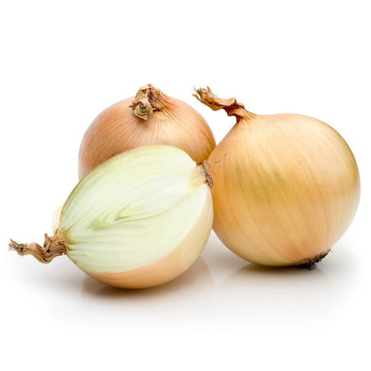 Cipolle