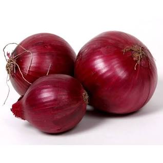 Cipolle