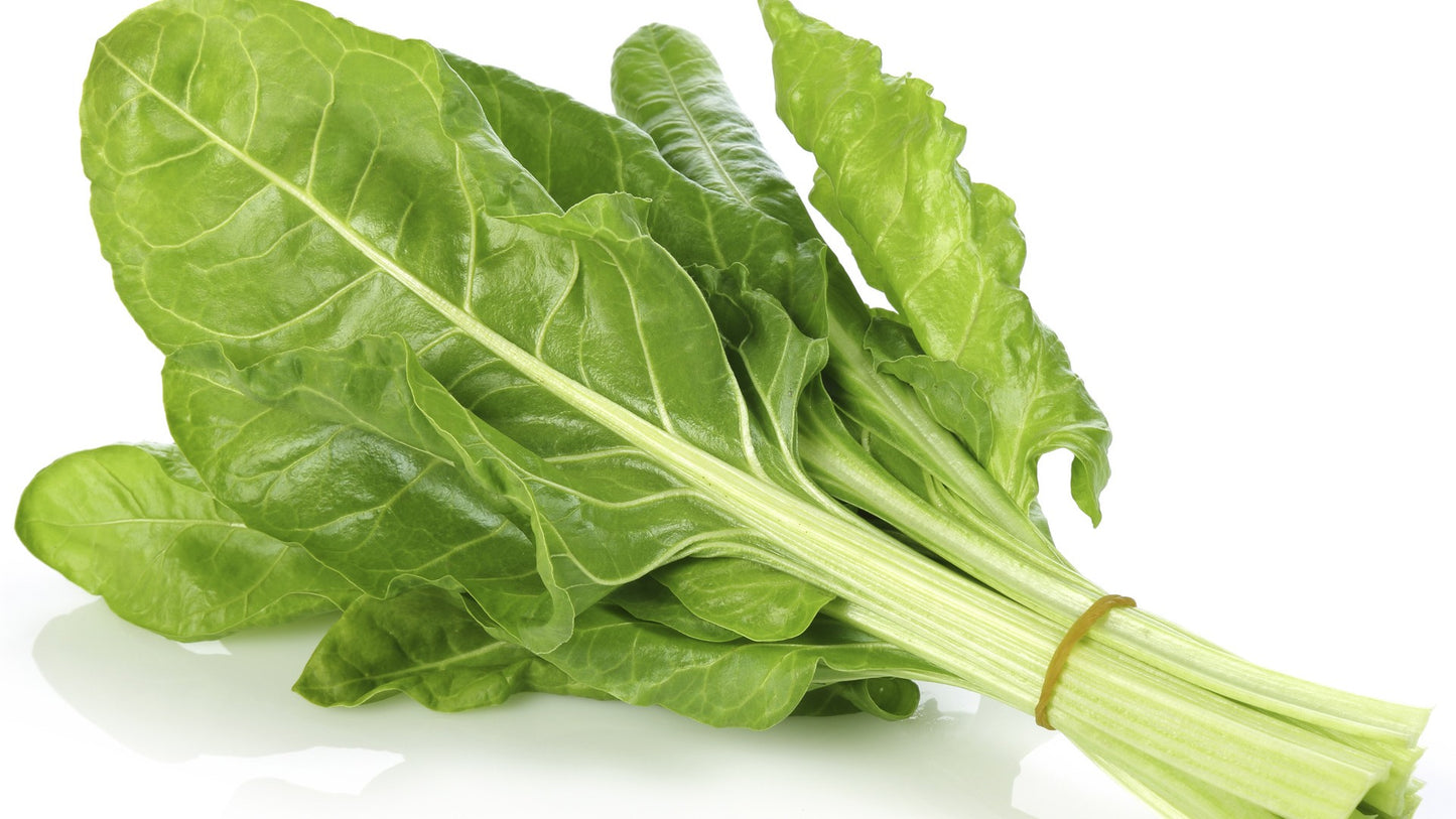 Costine (Bieta da taglio)