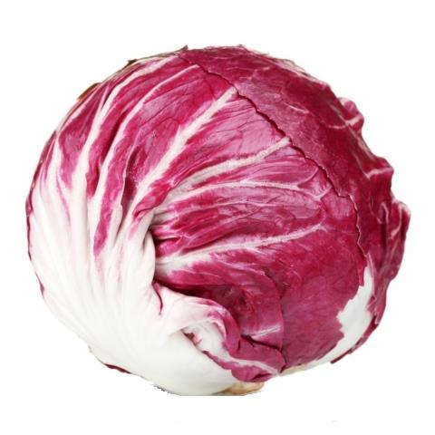 Radicchio