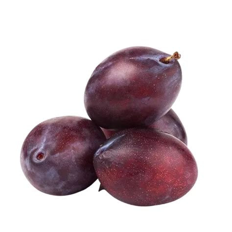 Prugna