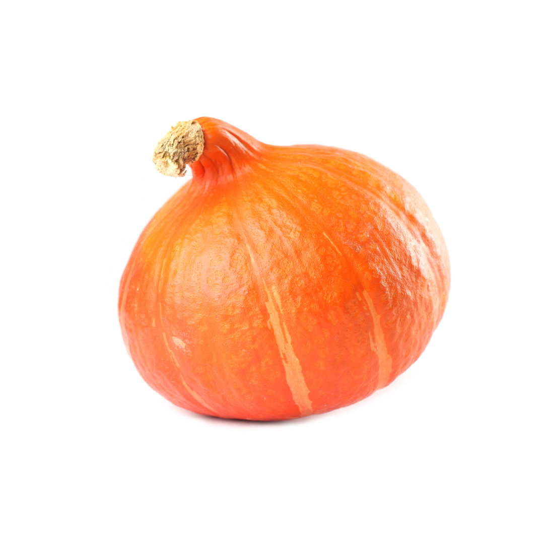 Zucca