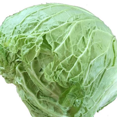 Cavolo Savoy King